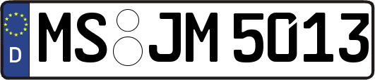 MS-JM5013