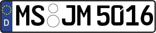 MS-JM5016