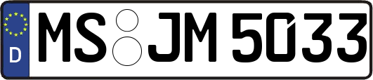MS-JM5033