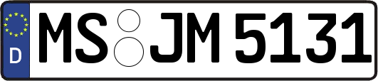 MS-JM5131