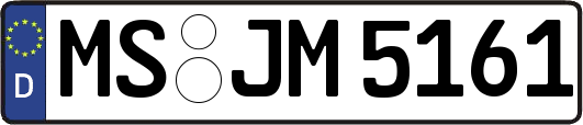 MS-JM5161