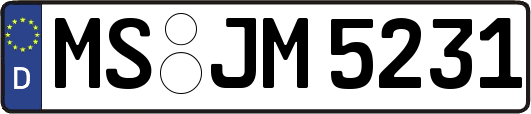 MS-JM5231