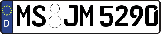 MS-JM5290