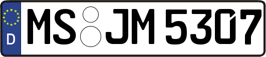 MS-JM5307