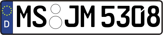 MS-JM5308