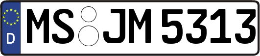 MS-JM5313