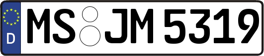 MS-JM5319