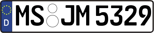 MS-JM5329