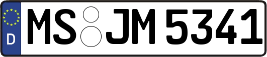 MS-JM5341