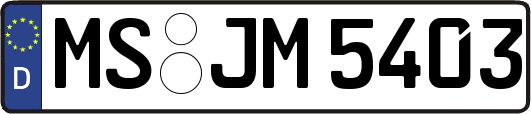 MS-JM5403