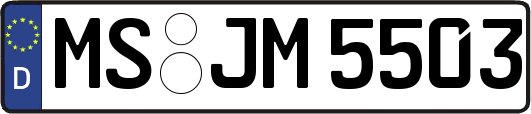 MS-JM5503