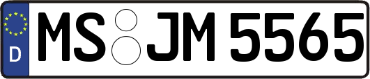 MS-JM5565