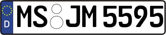 MS-JM5595