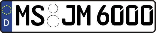 MS-JM6000