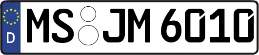 MS-JM6010