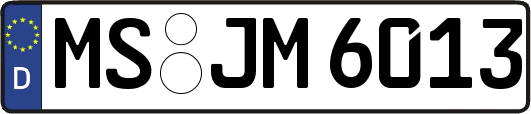 MS-JM6013