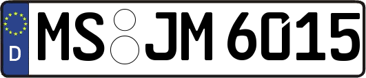 MS-JM6015