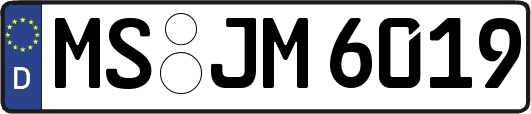 MS-JM6019