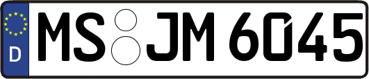 MS-JM6045