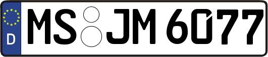 MS-JM6077