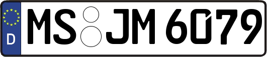 MS-JM6079