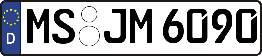 MS-JM6090