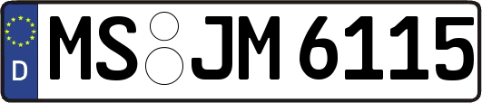 MS-JM6115