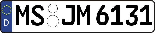MS-JM6131