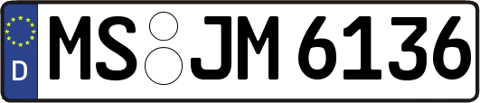 MS-JM6136