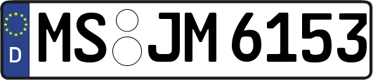 MS-JM6153