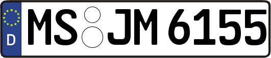 MS-JM6155