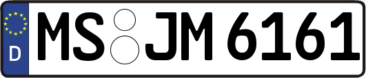 MS-JM6161
