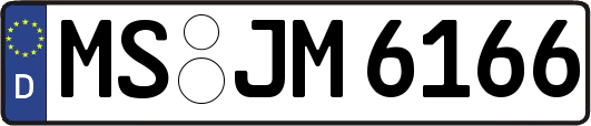 MS-JM6166