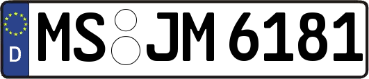 MS-JM6181