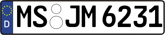 MS-JM6231