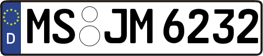 MS-JM6232
