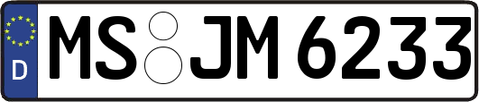 MS-JM6233