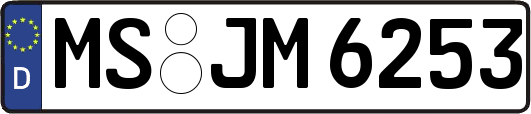 MS-JM6253