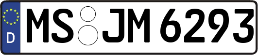 MS-JM6293