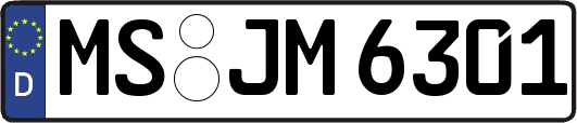 MS-JM6301