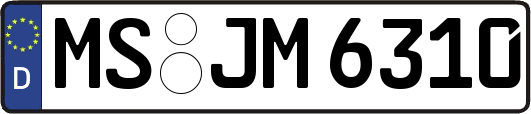 MS-JM6310