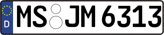 MS-JM6313