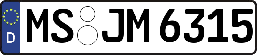 MS-JM6315