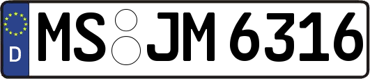 MS-JM6316