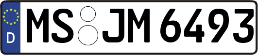 MS-JM6493