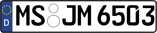 MS-JM6503