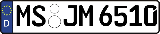 MS-JM6510