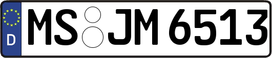 MS-JM6513