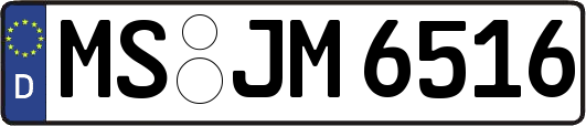 MS-JM6516