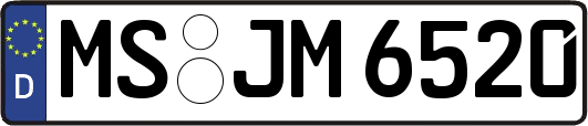 MS-JM6520
